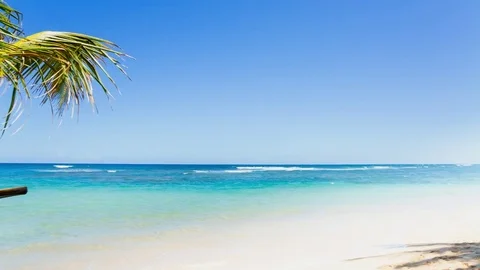 Woman lying on palm tree Stock Footage