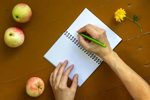 Woman makes notes in an empty notebook on wooden table with apples and flower Stock Photos
