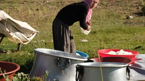 Woman Making Cheese Stock Footage 339224629