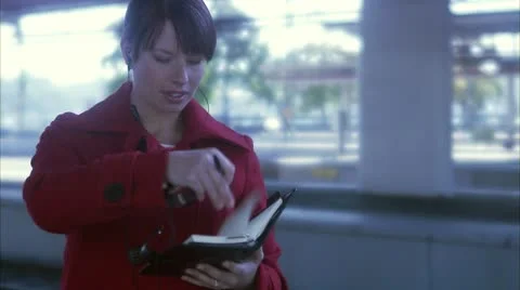 A woman making plans on a platform Stock Footage 11289465