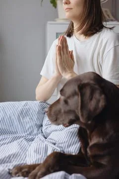 Woman meditates after sleeping in bed with her Labrador retriever dog. the Stock Photos