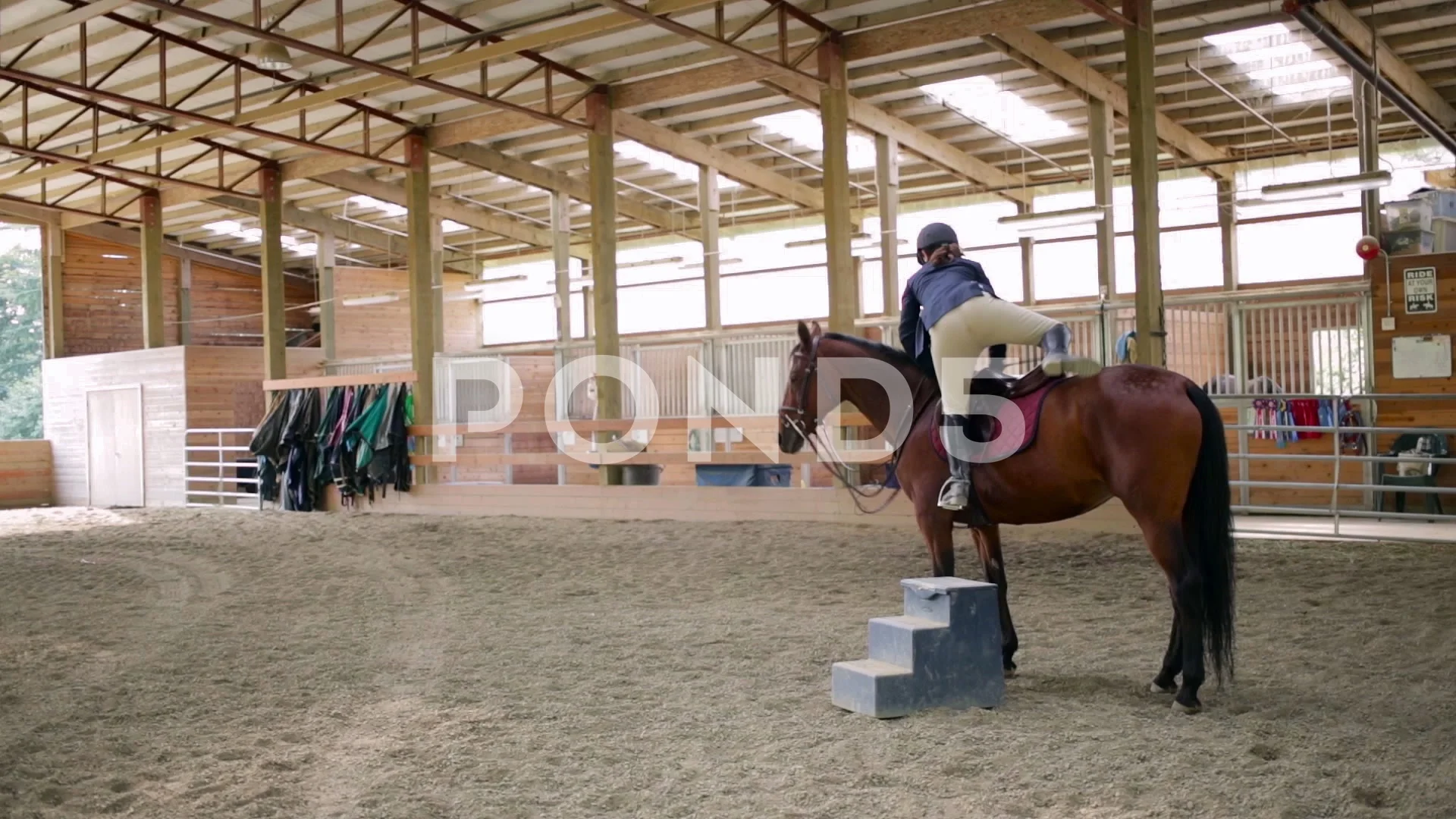 Woman mounting horse in training ring