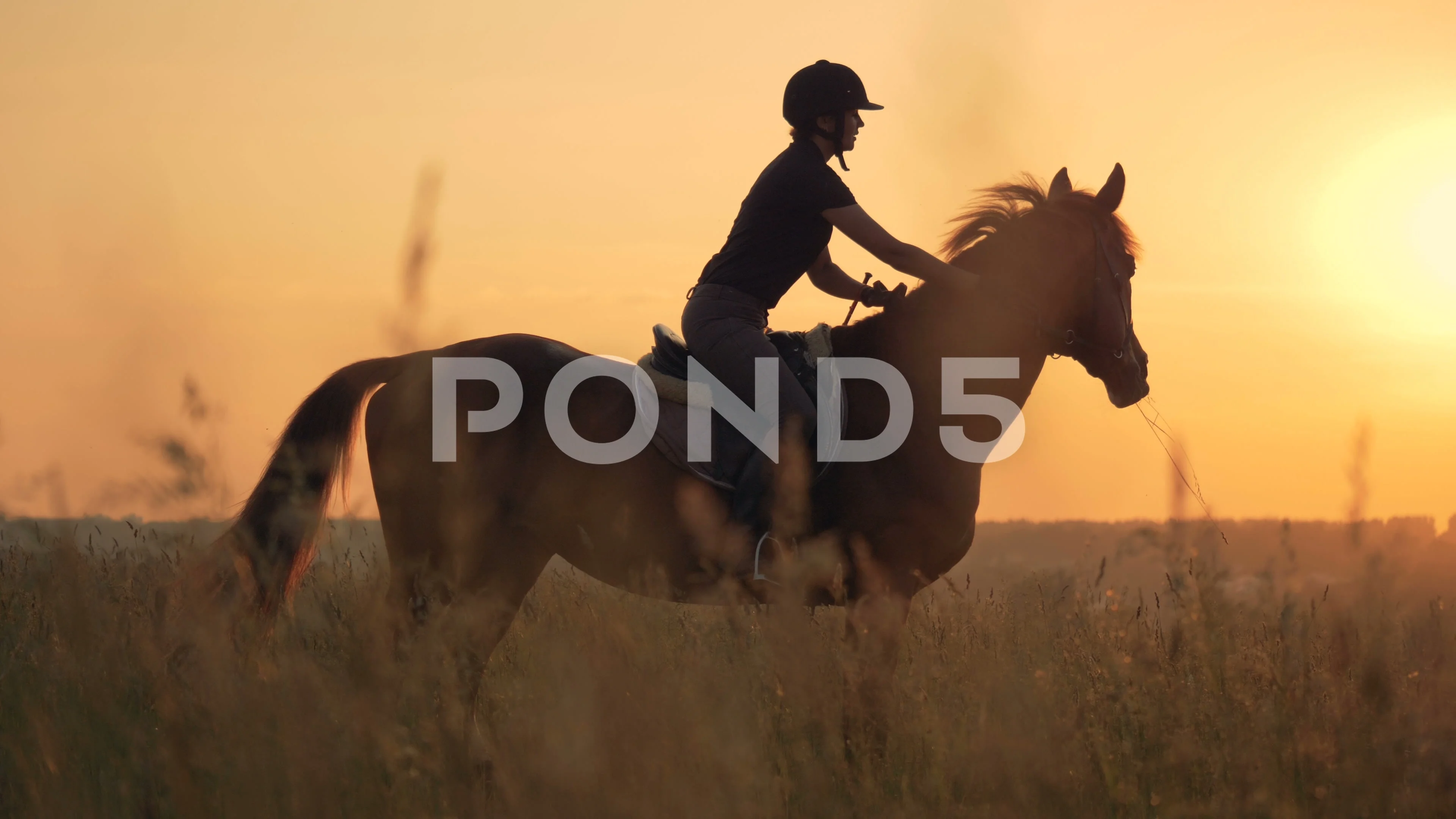 Woman mounts a horse in the field, side view. Human and animal love concept.