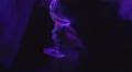Woman moving to music and drinking alcohol on dance floor at nightclub party HD Footage