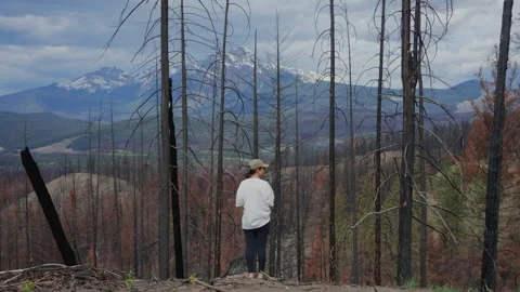 Woman observing burnt forest devastation in Jasper National Park, Canada Stock-Footage 332635368