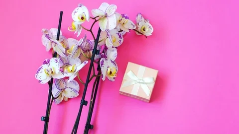 Woman opens a gift box on the background with orchid on Valentine's Day Stock Footage 102835642