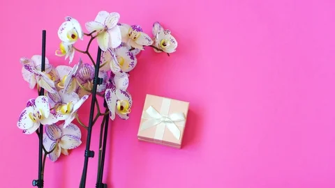 Woman opens a gift box on the background with orchid on Valentine's Day Stock Footage 102835697