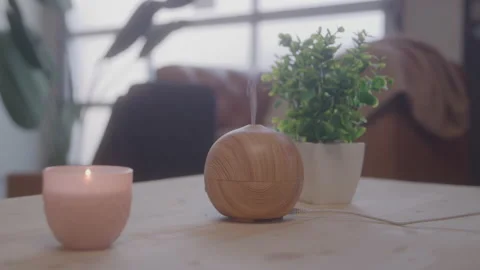Woman Operating an Essential Oil Diffuser at Home During the Day Stock Footage 208802618