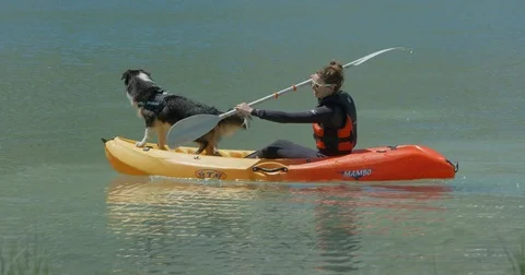 A woman paddling a kaya with her pet dog. Stock Footage