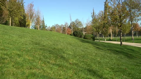 Woman in the park comes down from the mountain on the lawn barefoot Stock Footage 100694053
