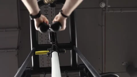 Woman performs cable row with steady technique during gym workout Stock Footage 337346739
