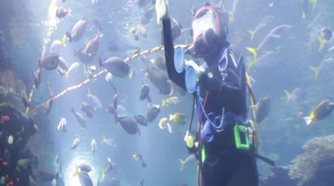 Woman performs Scuba Diving in the Deep Ocean Stock Footage 36168907