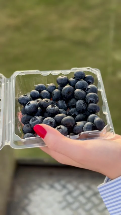 Woman picking blueberries from container 库存影片 339490859