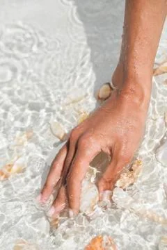 Woman picking seashell on the beach Stock Photos
