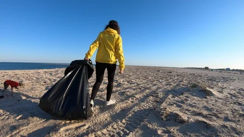 Woman picking up trash and plastics cleaning the beach with a garbage bag Stock Footage