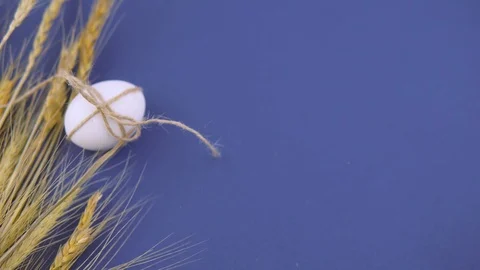 Woman picks up an easter egg. Stock Footage 122312162