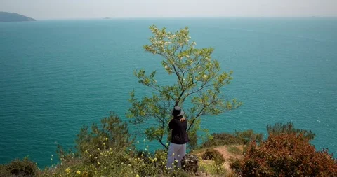 A woman picks fruit from a tree on the seashore. A lonely apple tree on the Stock Footage 242583116