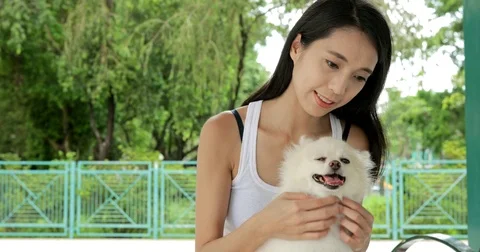 Woman play with her dog at park Stock Footage