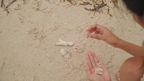 Woman playfully arranges tiny shells among pebbles and seaweed. Creative scene Stock Footage 335895766