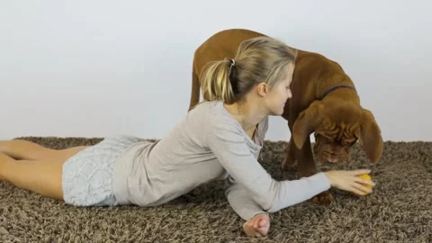 A woman plays ball with a French Stock Video Pond5