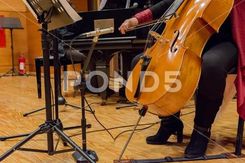 Woman plays cello Stock Photos