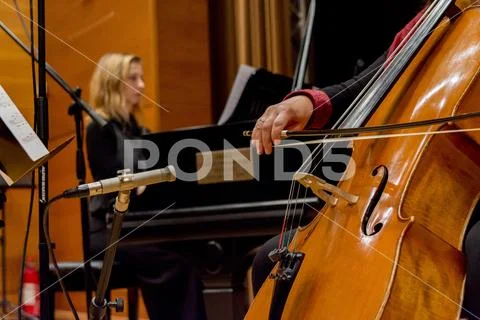 Woman plays cello Stock Photos