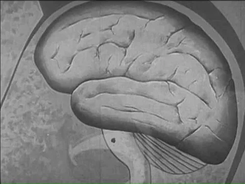 A woman plays piano to demonstrate the function of the cerebellum in the 1950s. 스톡 동영상 75292527