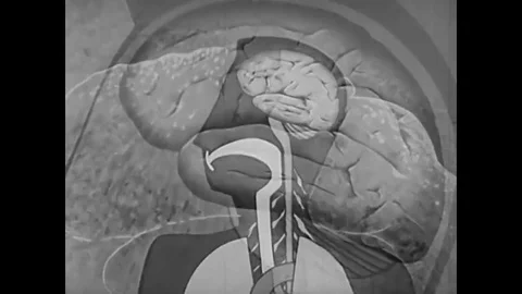 A woman plays piano to demonstrate the function of the cerebellum in the 1950s. 스톡 동영상 83165418