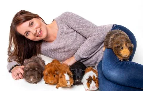 A woman poses with her pet guinea pigs (Cavia porcellus) on a white backgroun Stock Photos