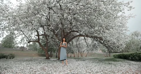 Woman posing under blooming tree in springtime Stock Footage 306589720