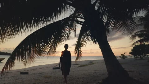 Woman posing under palm tree on beach at sunset in the maldives Stock Footage 310673801