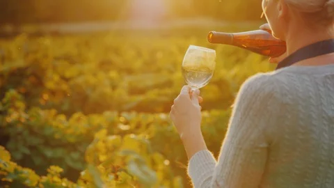 Woman pours white wine into a glass. Private tasting at the winery Stock Footage