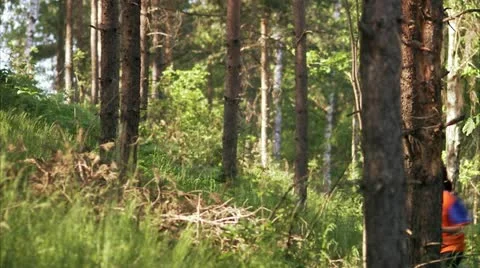 A woman practising orienteering Stock Footage 11306531