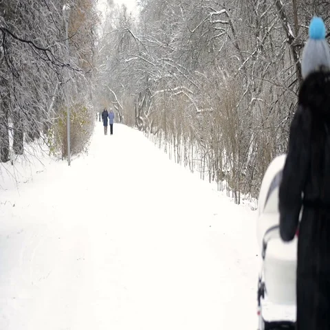 Woman with pram walking in winter Stock Footage 69703318