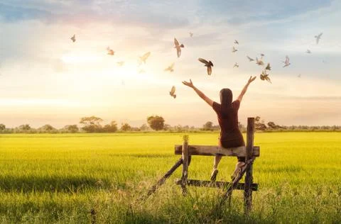 Woman praying and free bird enjoying nature on sunset background, hope concep Stock Photos