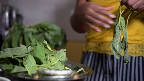 Woman preparing Vegetables Stock Footage 188530127