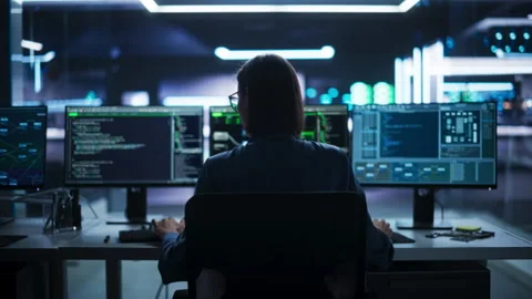 Woman Programming Stock Footage 256046568