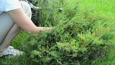 Woman pulling fresh grass weed Vidéo 128289493