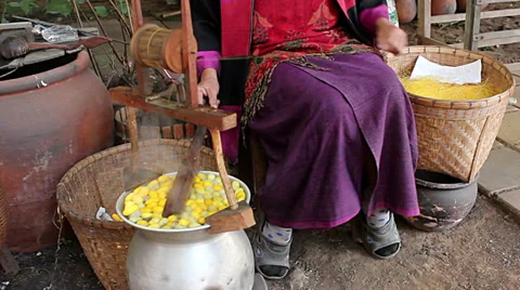 A woman pulling silk from cocoons silkworm Stock Footage 36228424