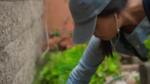 Woman Pulling Weeds Stock Footage 201887130