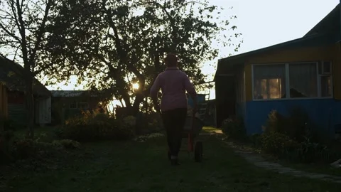 A woman pulls a cart with logs in the yard, summer season Stock Footage 221712967