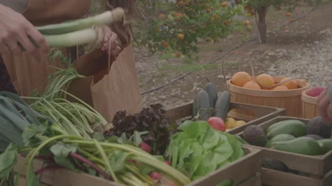Woman Pulls Vegetable Out of Box At Produce Stand Stock Footage 270334042