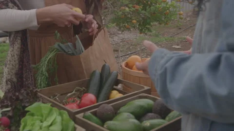 Woman Pulls Vegetable Out of Box At Produce Stand Puts In Bag Vídeo Stock 270334071