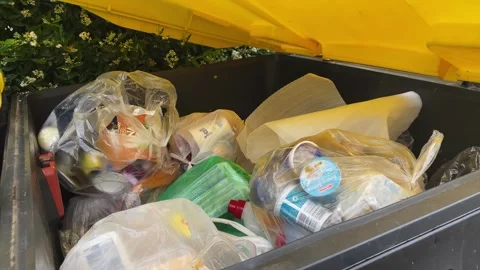 Woman puting the plastic garbage inside the waste container Stock Footage 311915296
