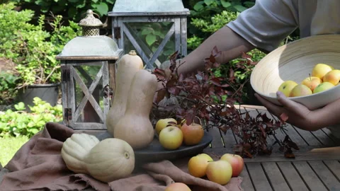 A woman puts apples on a table with a fall setting Stock Footage 283249642