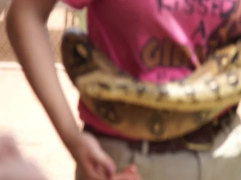 Woman Puts Burmese Python Around Her Waist, Arizona  MAH00069 5 스톡 동영상 119546245