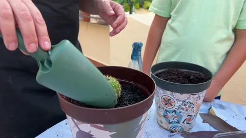 A woman, puts compost in a pot using a gardening trowel. Home gardening concept Stock Footage 209148535