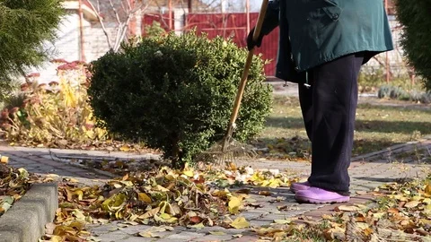 Woman with a rake cleans Stock-Footage 94389364