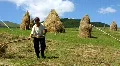 Woman with rake HD Footage