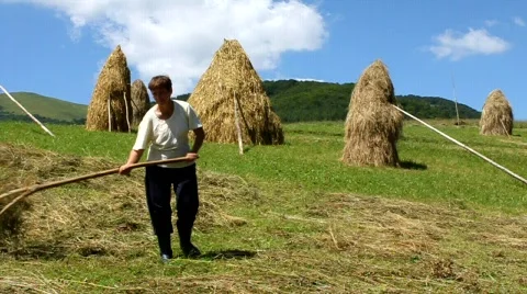 Woman with rake Stock Footage 568530